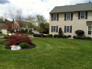 m&d_photo_0013