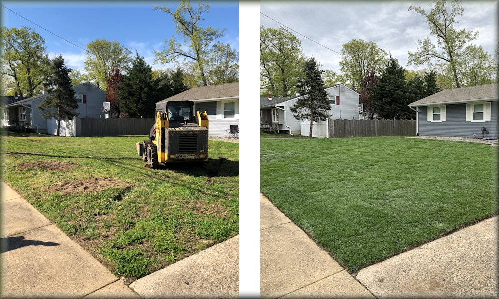 Portfolio M D Lawn Maintenance Landscaping Inc Deptford Portfolio M D Lawn Maintenance Landscaping Inc Deptford